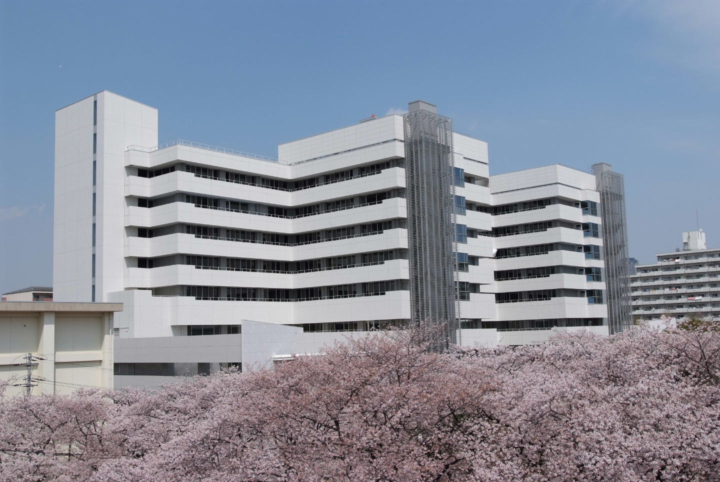 自衛隊 中央 病院