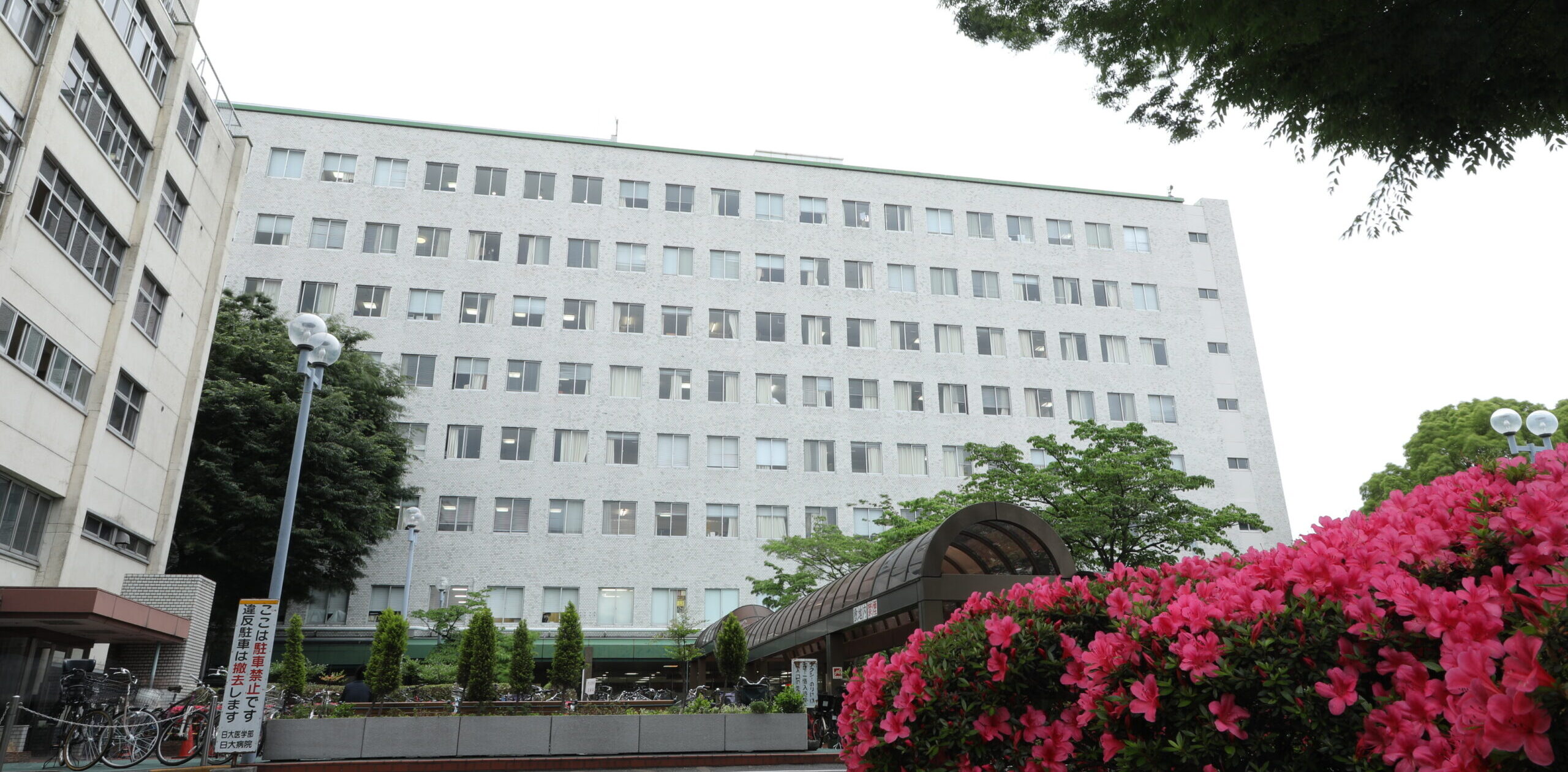 日本大学医学部附属板橋病院